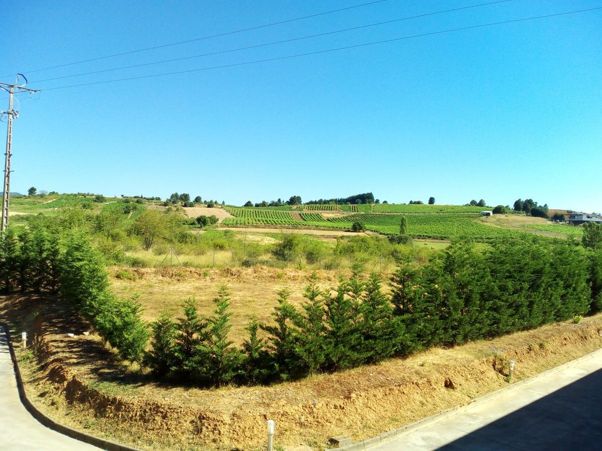 Motel Acropolis Camponaraya Dış mekan fotoğraf